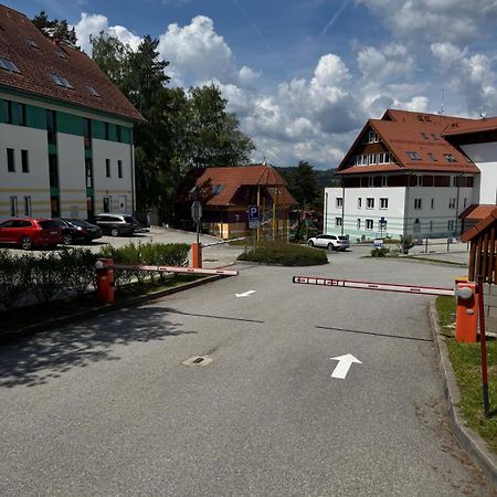 Apartman Kapy Lipno 伏尔塔瓦河畔利普诺 外观 照片
