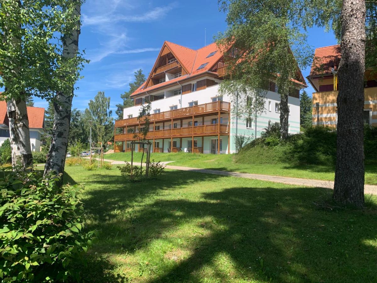 Apartman Kapy Lipno 伏尔塔瓦河畔利普诺 外观 照片