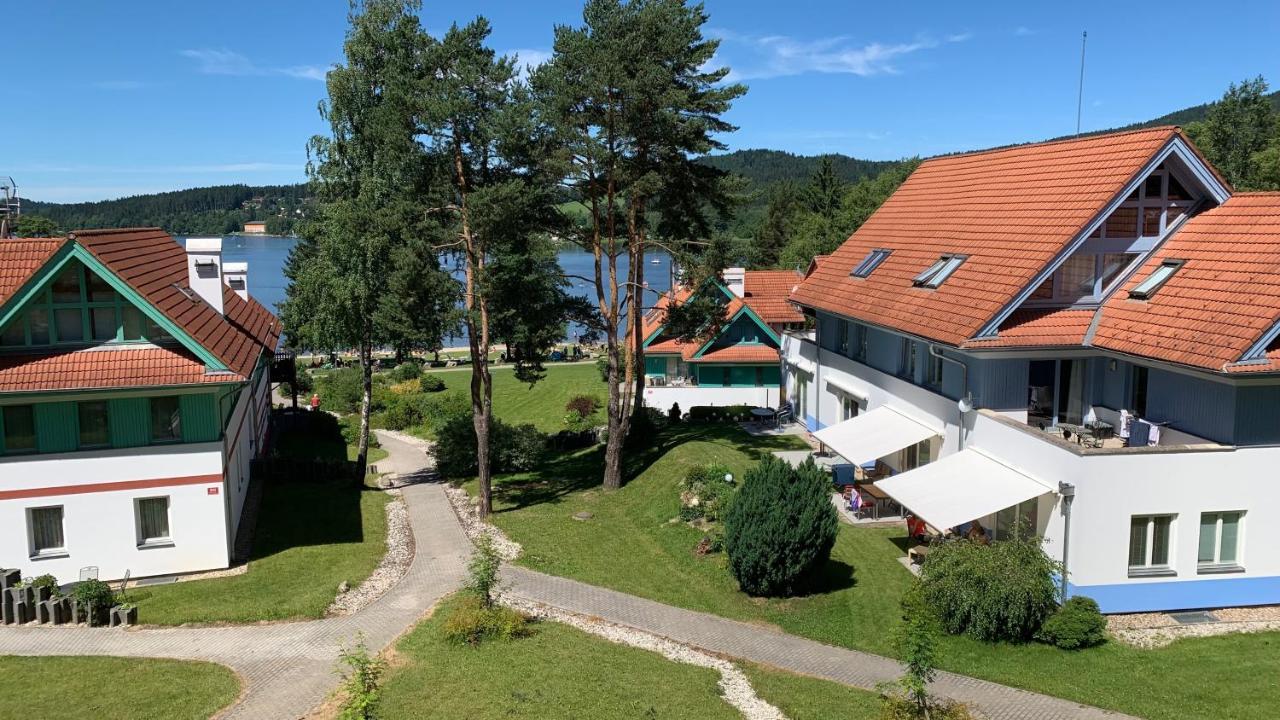Apartman Kapy Lipno 伏尔塔瓦河畔利普诺 外观 照片
